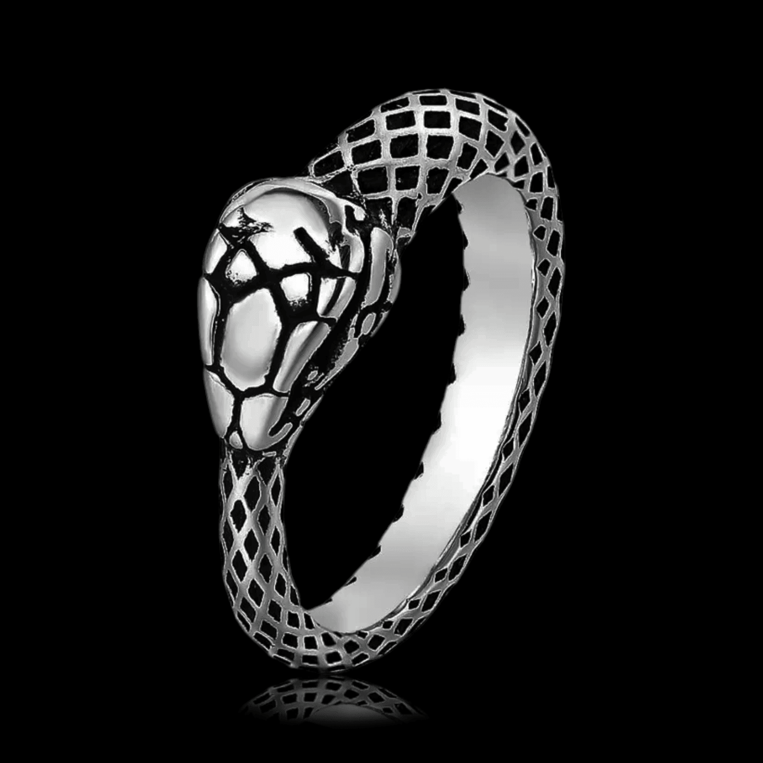 Ouroboros Ring in Titanium Steel - Timeless Elegance | Villainswear ...